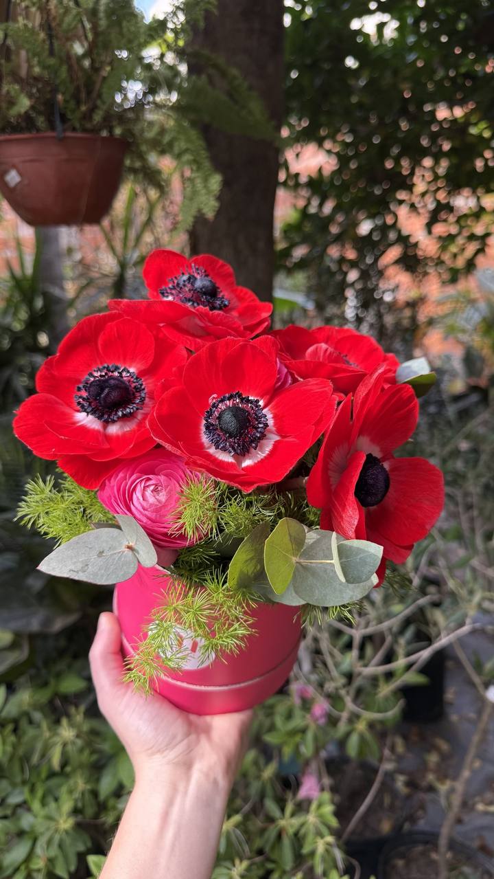 Caja floral de anémonas y marimoñas