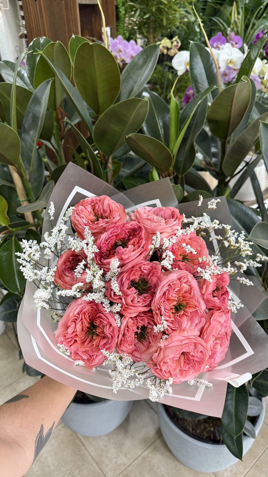 12 Rosas inglesas