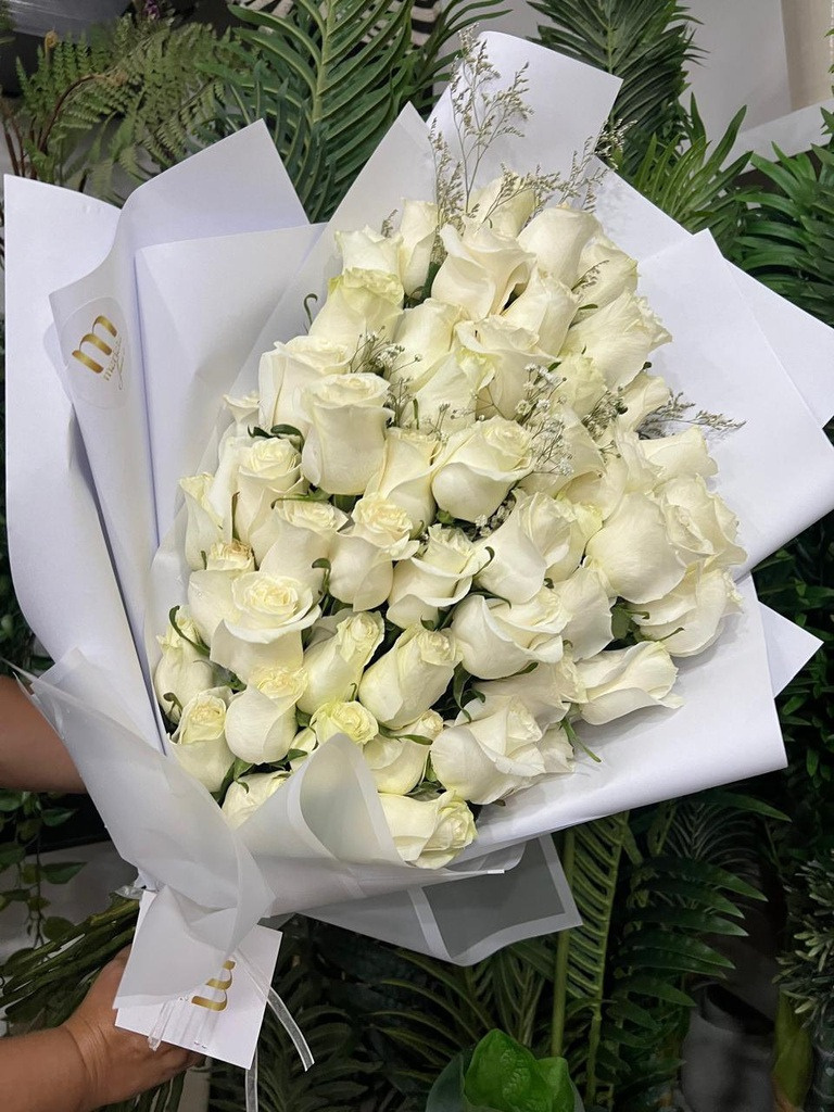 50 Rosas tradicionales