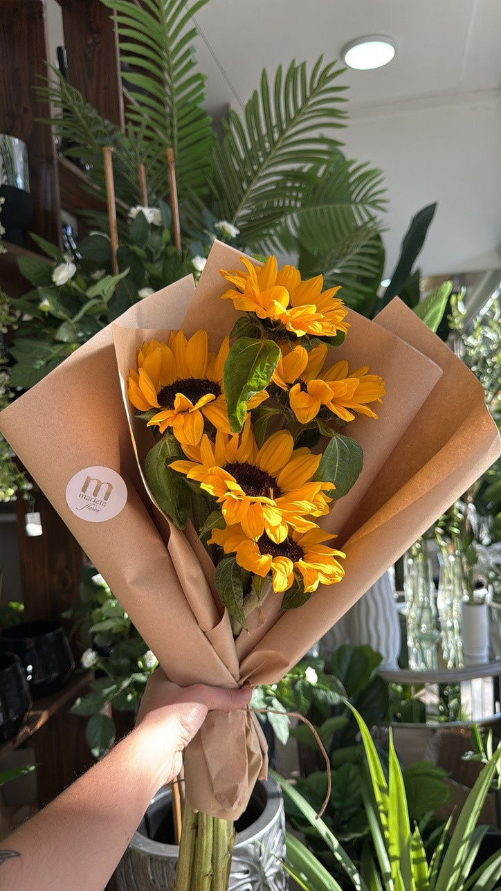 Girasoles especial