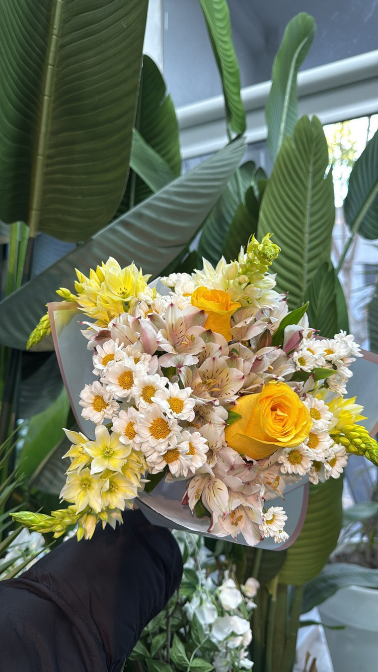 Surtido con rosas, ornithogalum, manzanilla y astromelias