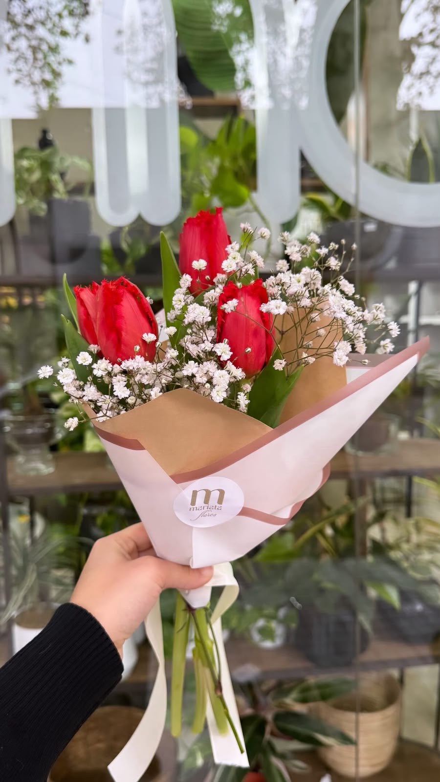 3 Tulipanes