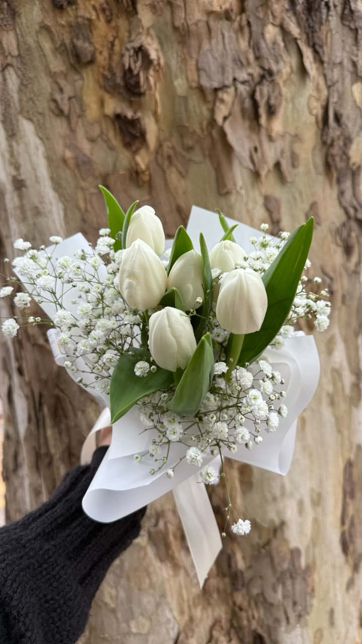 Ramo de 6 tulipanes