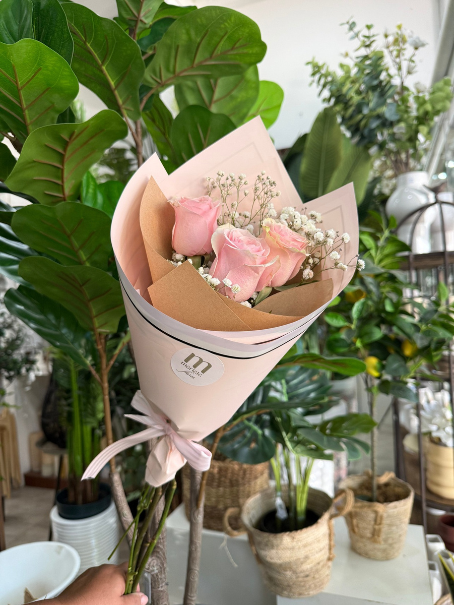 3 Rosas