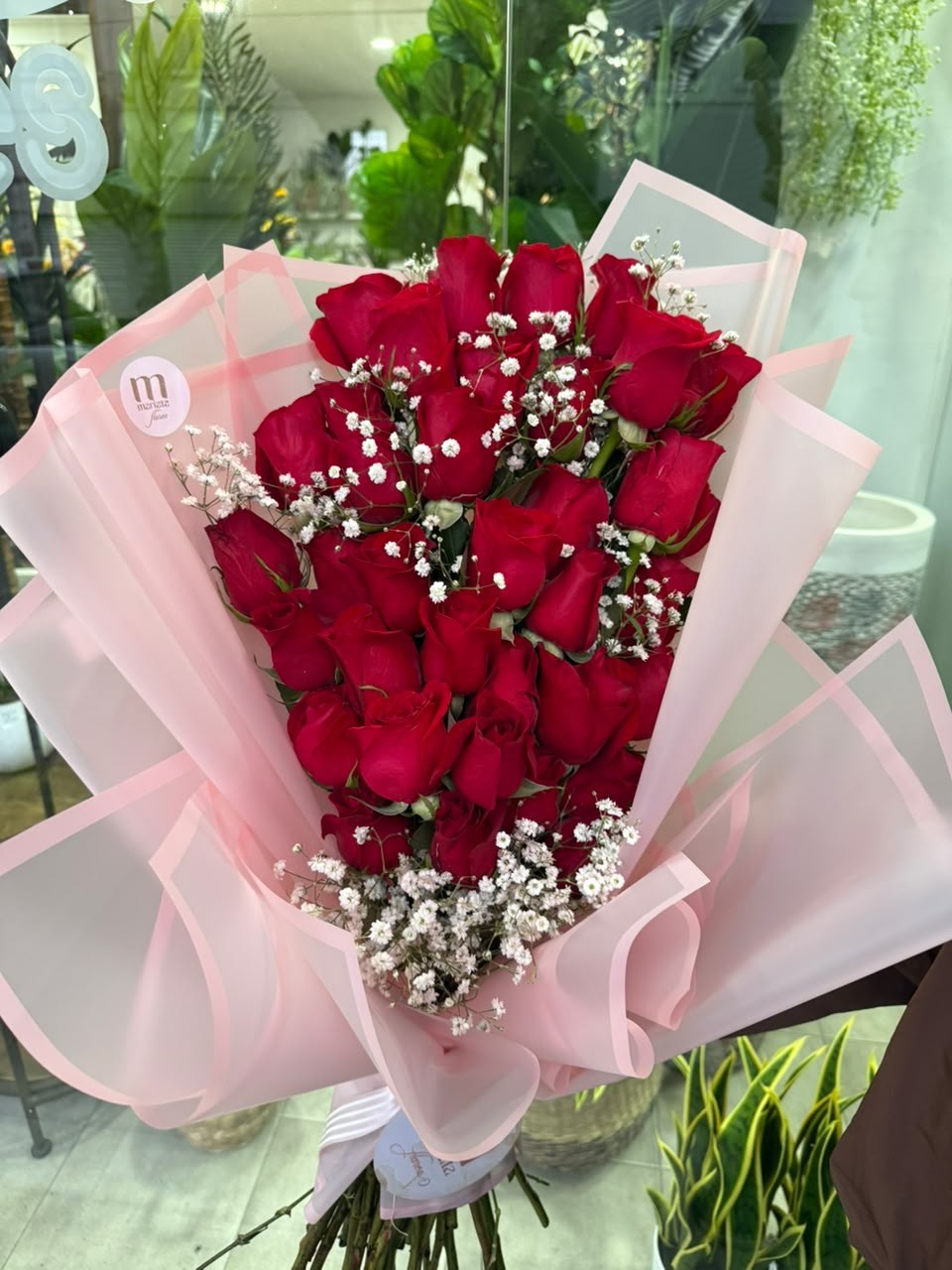 37 Rosas tradicionales