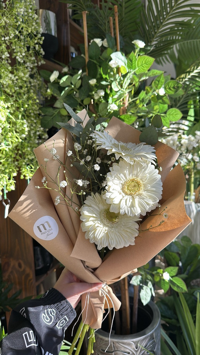 3 Gerberas