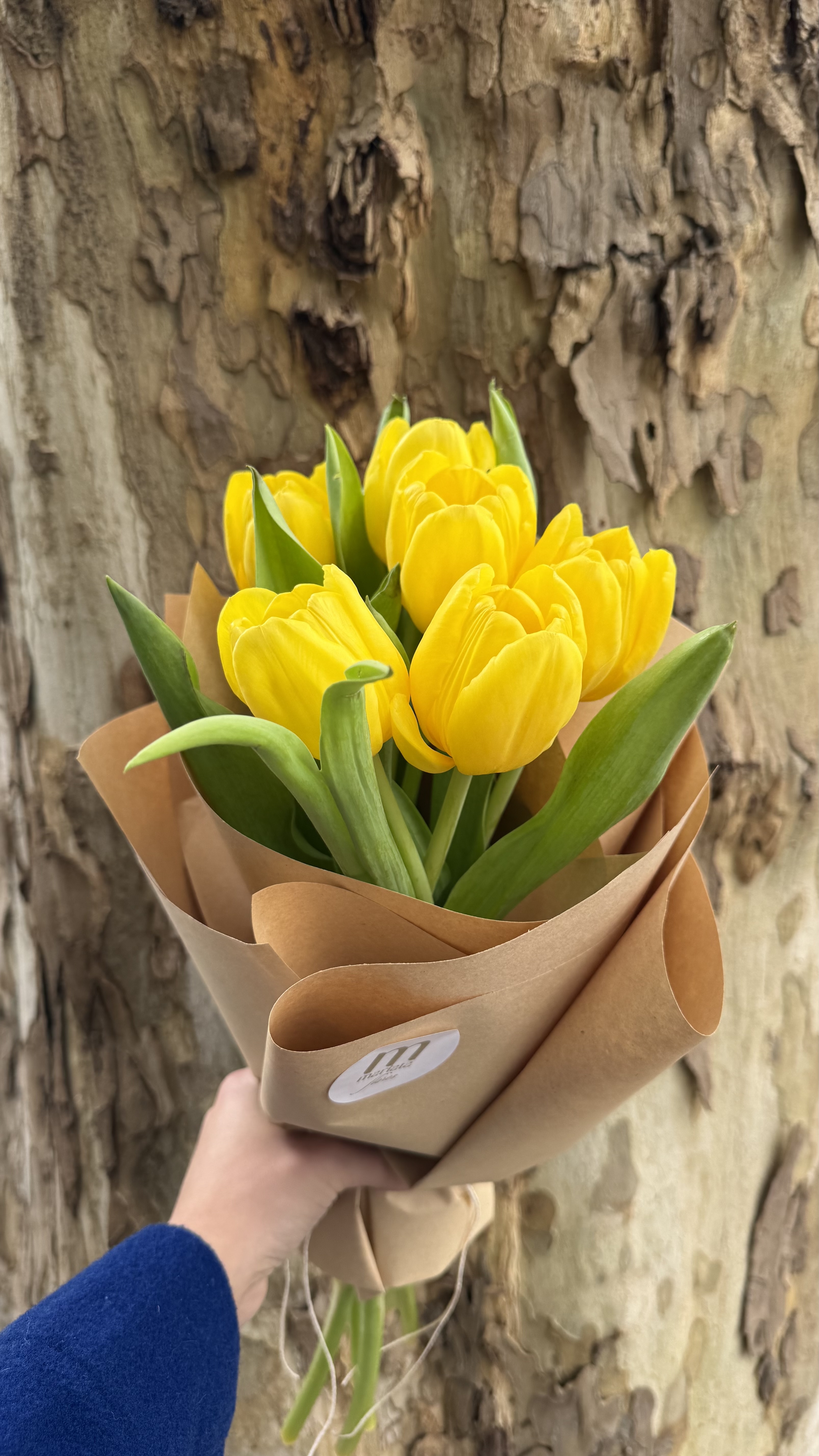 Ramo floral de 6 tulipanes