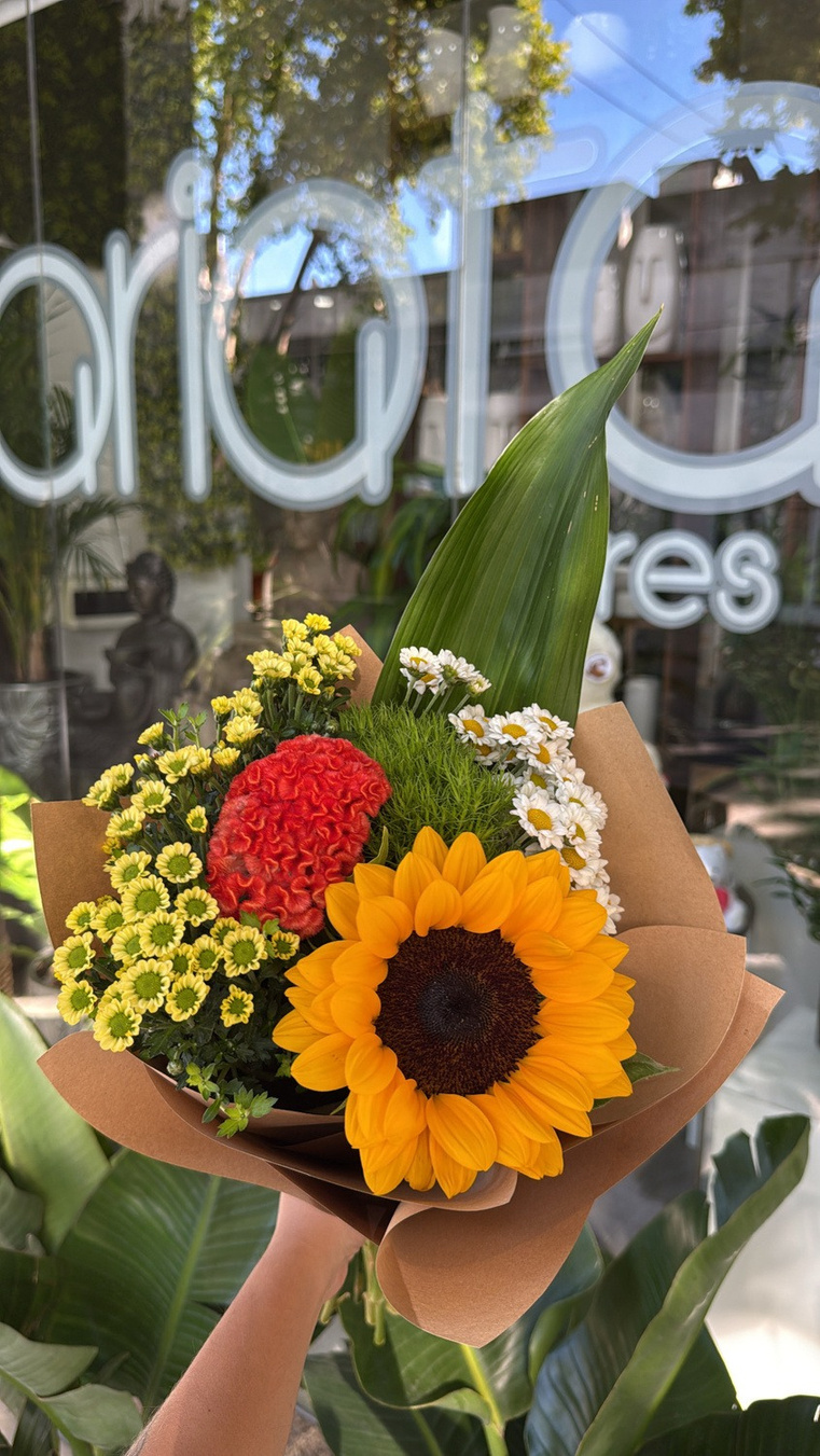 Surtido con girasol, cresta de gallo, Dianthus Green y manzanilla