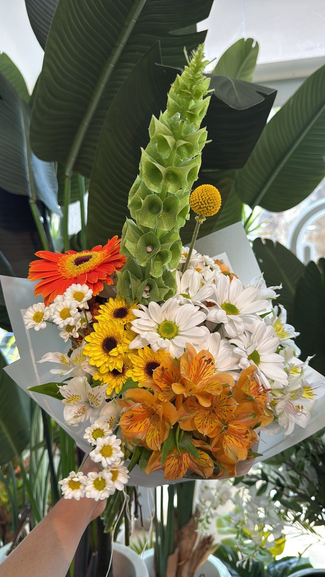 Surtido con molucella, craspedia, gerbera y san Vicente