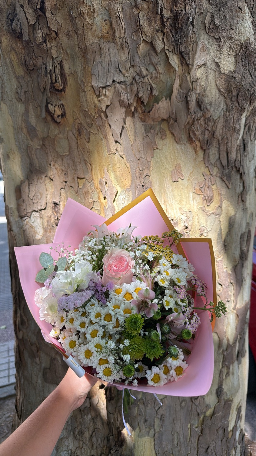Surtido silvestre con rosa