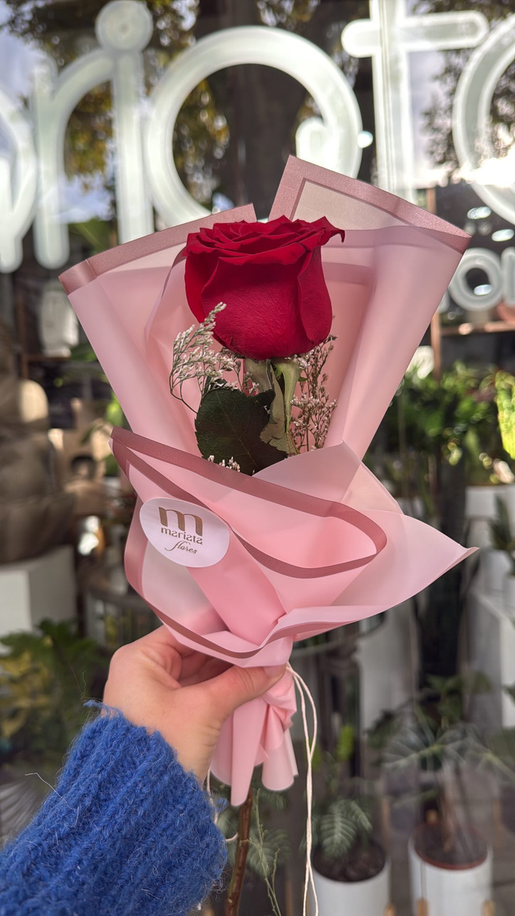 Rosa tradicional